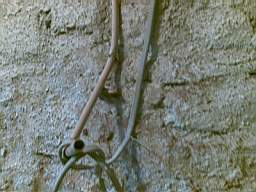 derrygola 1358.jpg